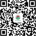 進(jìn)入手機(jī)站